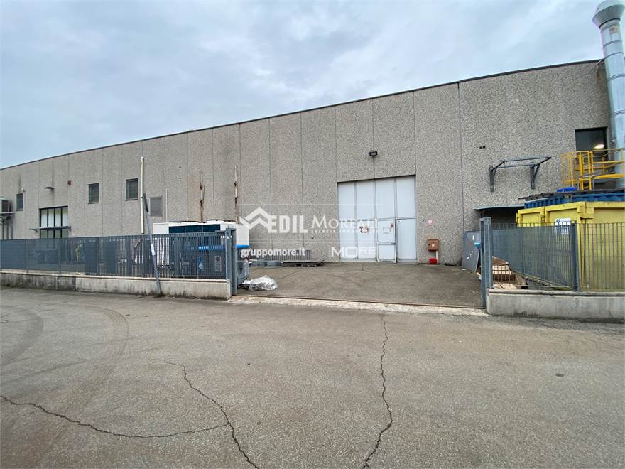 AREA CORTILIVA SUL RETRO